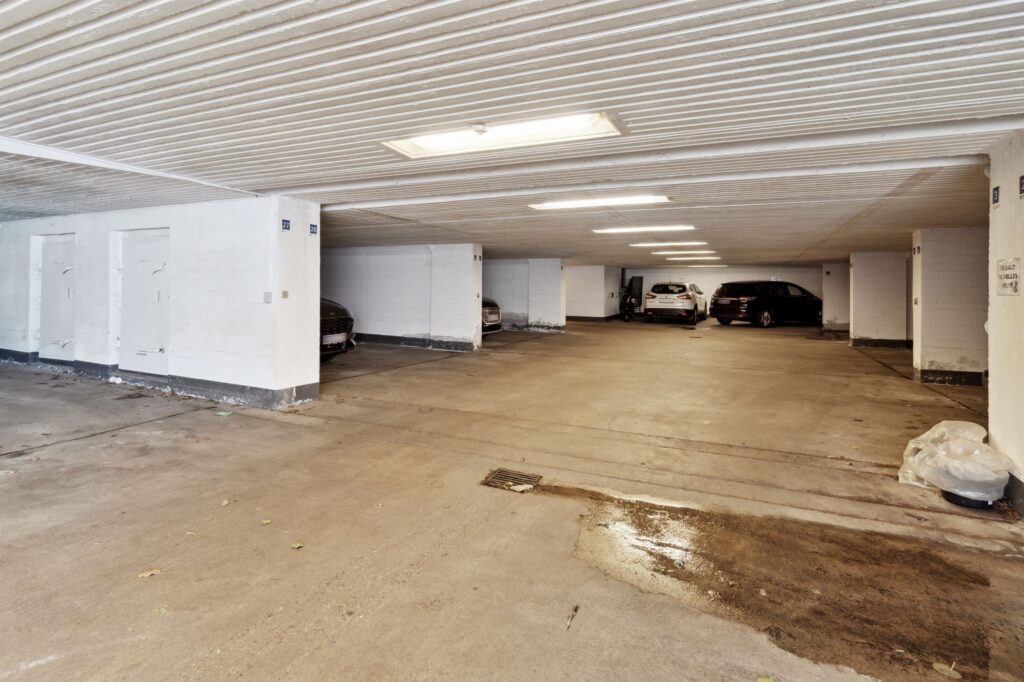 2e74cb6d-73e6-46cb-8f99-45abe6e818e2_Size3000x2000